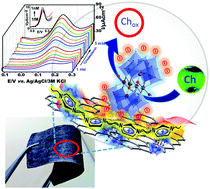 Graphical abstract: PVIM–Co5POM/MNC composite as a flexible electrode for the ultrasensitive and highly selective non-enzymatic electrochemical detection of cholesterol