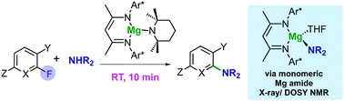 Graphical abstract: Magnesium-mediated arylation of amines via C–F bond activation of fluoroarenes