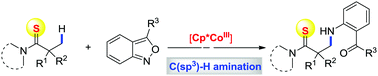 Graphical abstract: Site-selective C(sp3)–H amination of thioamide with anthranils under Cp*CoIII catalysis