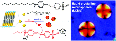 Graphical abstract: Liquid crystalline microspheres of azobenzene amphiphiles formed by thermally induced pH changes in binary water–hydrolytic ionic liquid media