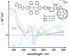 Graphical abstract: Superexchange in the fast lane – intramolecular electron transfer in a molecular triad occurs by conformationally gated superexchange