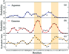 Graphical abstract: Role of hydrophobic residues for the gaseous formation of helical motifs