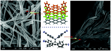 Graphical abstract: Planarization of tetracarboxamides: tuning the self-assembly of polycyclic aromatic hydrocarbons