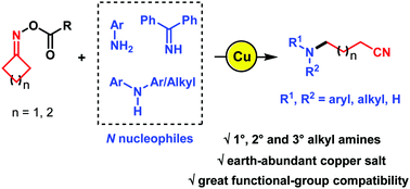 Graphical abstract: Copper-catalyzed ring-opening C(sp3)–N coupling of cycloketone oxime esters: access to 1°, 2° and 3° alkyl amines