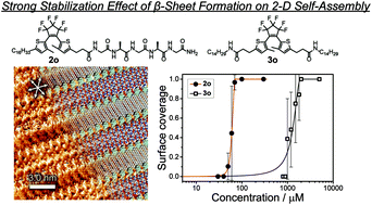 Graphical abstract: Self-assembly of photochromic diarylethene–peptide conjugates stabilized by β-sheet formation at the liquid/graphite interface