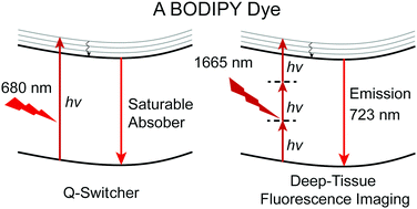 Graphical abstract: A near-infrared I emissive dye: toward the application of saturable absorber and multiphoton fluorescence microscopy in the deep-tissue imaging window