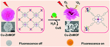 Graphical abstract: Metal–organic framework nanosheets with flower-like structure as probes for H2S detection and in situ singlet-oxygen production