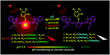Graphical abstract: A pH-sensitive near-infrared fluorescent probe with alkaline pKa for chronic wound monitoring in diabetic mice