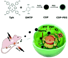 Graphical abstract: Boosting the antitumor efficacy over a nanoscale porphyrin-based covalent organic polymer via synergistic photodynamic and photothermal therapy