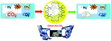 Graphical abstract: Shape-persistent pyrrole-based covalent organic cages: synthesis, structure and selective gas adsorption properties