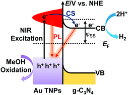 Graphical abstract: Ultrafast spectroscopic study of plasmon-induced hot electron transfer under NIR excitation in Au triangular nanoprism/g-C3N4 for photocatalytic H2 production
