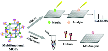 Graphical abstract: A flexible and multifunctional metal–organic framework as a matrix for analysis of small molecules using laser desorption/ionization mass spectrometry