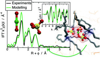 Graphical abstract: Probing the existence of uranyl trisulfate structures in the AMEX solvent extraction process