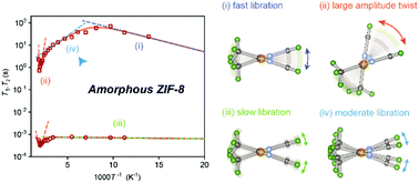 Graphical abstract: The effect of amorphization on the molecular motion of the 2-methylimidazolate linkers in ZIF-8