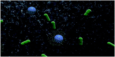 Graphical abstract: Hydrophobicity-responsive engineered mesoporous silica nanoparticles: application in the delivery of essential nutrients to bacteria combating oil spills