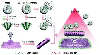 Graphical abstract: A flexible smart membrane consisting of GO composite fibres and upconversion MSNs for microRNA detection