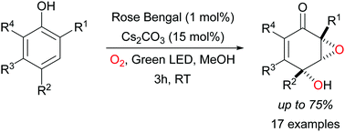 Graphical abstract: Multicatalytic dearomatization of phenols into epoxyquinols via a photooxygenation process