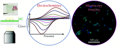 Graphical abstract: Transparent crystalline cubic SiC-on-glass electrodes enable simultaneous electrochemistry and optical microscopy