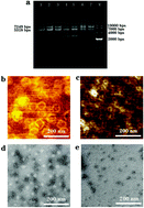 Graphical abstract: Construction of a reconfigurable DNA nanocage for encapsulating a TMV disk