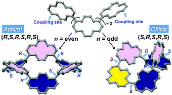 Graphical abstract: Torsional chirality generation based on cyclic oligomers constructed from an odd number of pyrenes