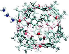 Graphical abstract: Water plays a diverse role in a hydrogen-bonded, hexameric supramolecular assembly