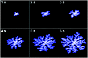 Graphical abstract: Quantitative investigation of the formation and growth of palladium fractal nanocrystals by liquid-cell transmission electron microscopy