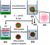 Graphical abstract: Microgel-stabilized liquid crystal emulsions enable an analyte-induced ordering transition