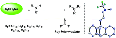 Graphical abstract: One-pot synthesis of trifluoromethyl amines and perfluoroalkyl amines with CF3SO2Na and RfSO2Na