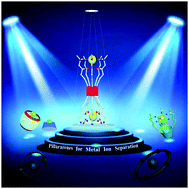 Graphical abstract: Pillararenes as macrocyclic hosts: a rising star in metal ion separation