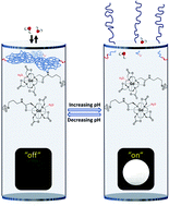 Graphical abstract: Water gated contrast switching with polymer–silica hybrid nanoparticles