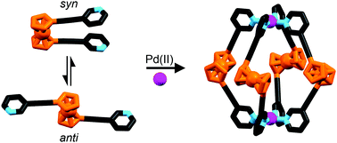 Graphical abstract: Redox active [Pd2L4]4+ cages constructed from rotationally flexible 1,1′-disubstituted ferrocene ligands