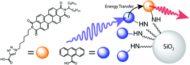 Graphical abstract: Inter-ligand energy transfer in dye chromophores attached to high bandgap SiO2 nanoparticles