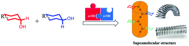 Graphical abstract: Anisotropic elasticity and plasticity of an organic crystal