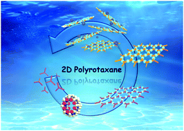 Graphical abstract: Photoreaction-driven two-dimensional periodic polyrotaxane-type supramolecular nanoarchitecture