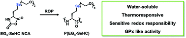 Graphical abstract: Synthesis of water soluble and multi-responsive selenopolypeptides via ring-opening polymerization of N-carboxyanhydrides