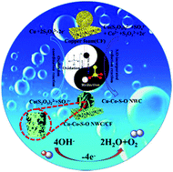 Graphical abstract: Room temperature thiosulfate ion redox reaction-driven synthesis of a robust porous copper–cobalt–sulfur–oxygen nanowire coating on copper foam for highly-efficient and low-cost oxygen evolution reaction