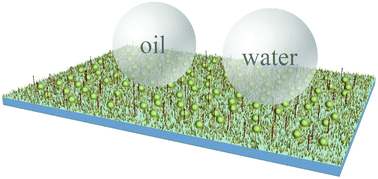 Graphical abstract: Biomimetic polymeric superamphiphobic surfaces: their fabrication and applications