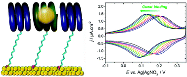 Graphical abstract: Supramolecular chemistry of helical foldamers at the solid–liquid interface: self-assembled monolayers and anion recognition