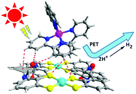 Graphical abstract: Negatively charged metal–organic hosts with cobalt dithiolene species: improving PET processes for light-driven proton reduction through host–guest electrostatic interactions