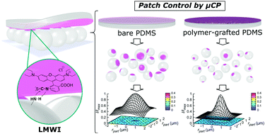 Graphical abstract: Tailoring patches on particles: a modified microcontact printing routine using polymer-functionalised stamps
