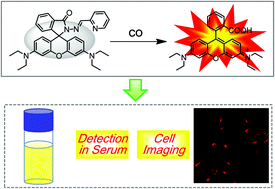 Graphical abstract: A new mitochondrion targetable fluorescent probe for carbon monoxide-specific detection and live cell imaging