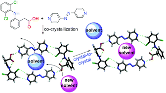 Graphical abstract: Unique supramolecular complex of diclofenac: structural robustness, crystal-to-crystal solvent exchange, and mechanochemical synthesis