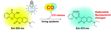 Graphical abstract: CO release with ratiometric fluorescence changes: a promising visible-light-triggered metal-free CO-releasing molecule