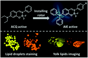 Graphical abstract: Facile construction of boranil complexes with aggregation-induced emission characteristics and their specific lipid droplet imaging applications
