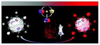 Graphical abstract: A nitroxyl-responsive near-infrared fluorescent chemosensor for visualizing H2S/NO crosstalk in biological systems