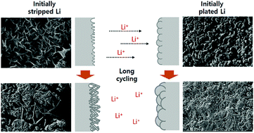 Graphical abstract: Asymmetric behaviour of Li/Li symmetric cells for Li metal batteries