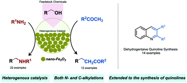 Graphical abstract: A nanoscale iron catalyst for heterogeneous direct N- and C-alkylations of anilines and ketones using alcohols under hydrogen autotransfer conditions