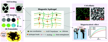 Graphical abstract: Robust magnetic double-network hydrogels with self-healing, MR imaging, cytocompatibility and 3D printability