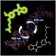 Graphical abstract: Visible-range hemi-indigo photoswitch: ON–OFF fluorescent binder for HIV-1 RNA