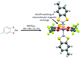 Graphical abstract: Exploring through-bond and through-space magnetic communication in 1,3,2-dithiazolyl radical complexes